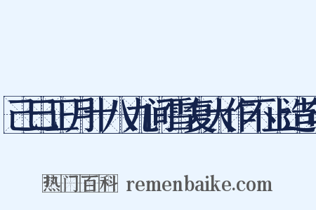 己巳正月十八九间雪复大作不止造句是什么意思的图片